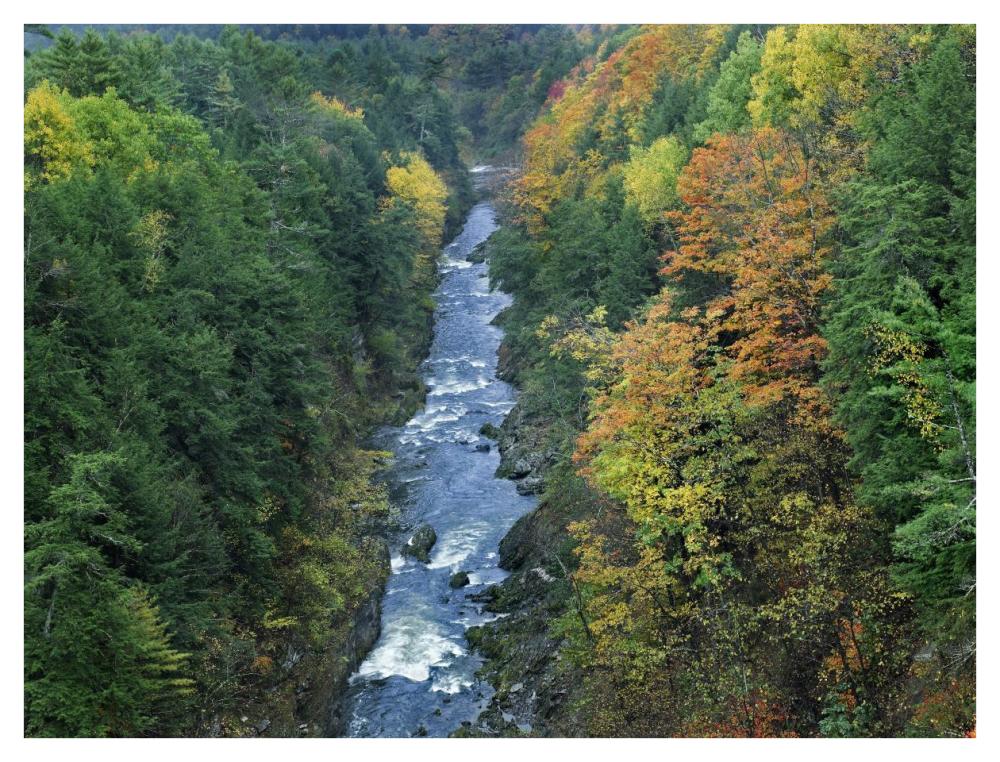 Ottauquechee River And Quechee Gorge, Vermont-Paper Art-42X32