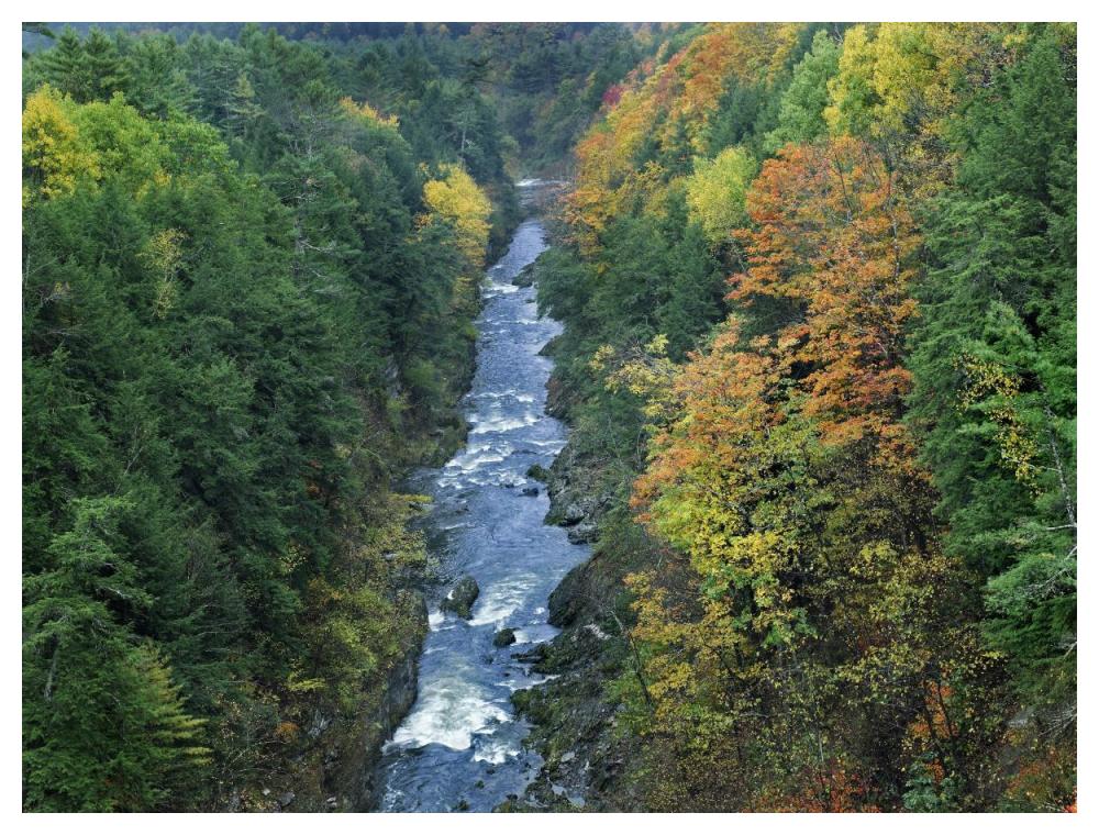 Ottauquechee River And Quechee Gorge, Vermont-Paper Art-50X38