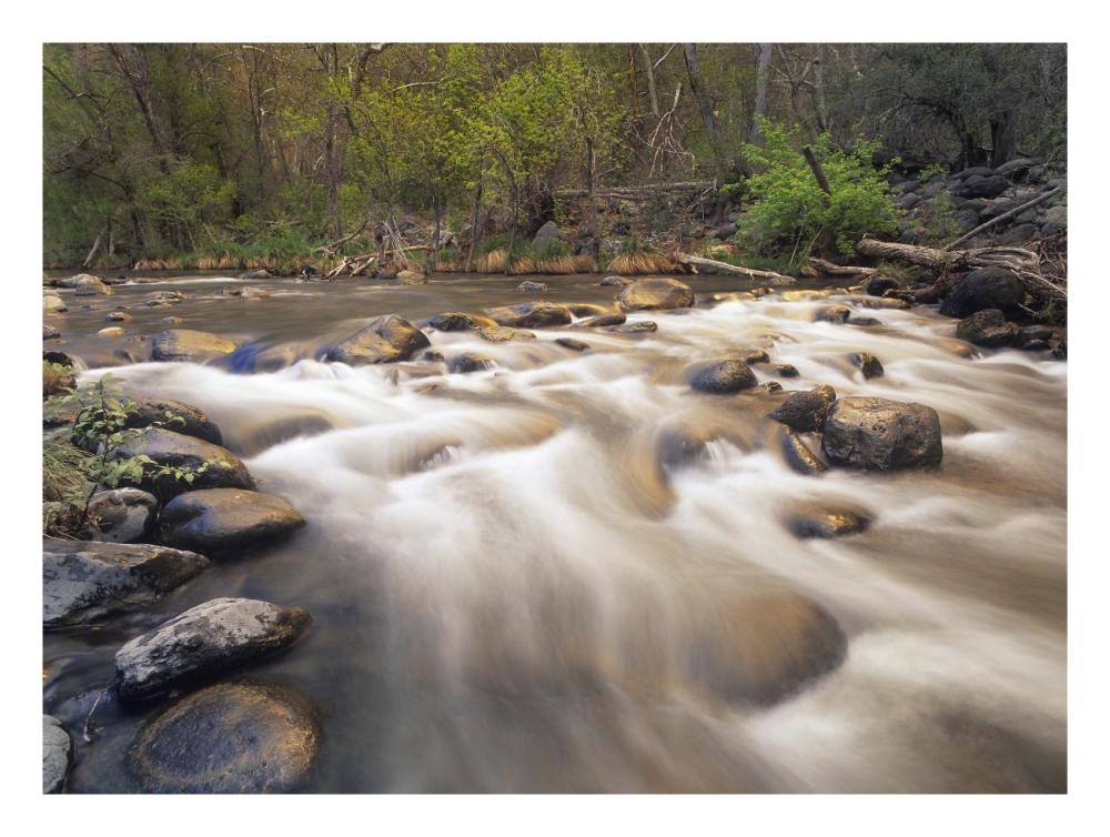 Oak Creek At Grasshopper Point, Sedona, Arizona-Paper Art-26X20