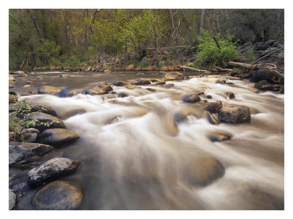 Oak Creek At Grasshopper Point, Sedona, Arizona-Paper Art-34X26