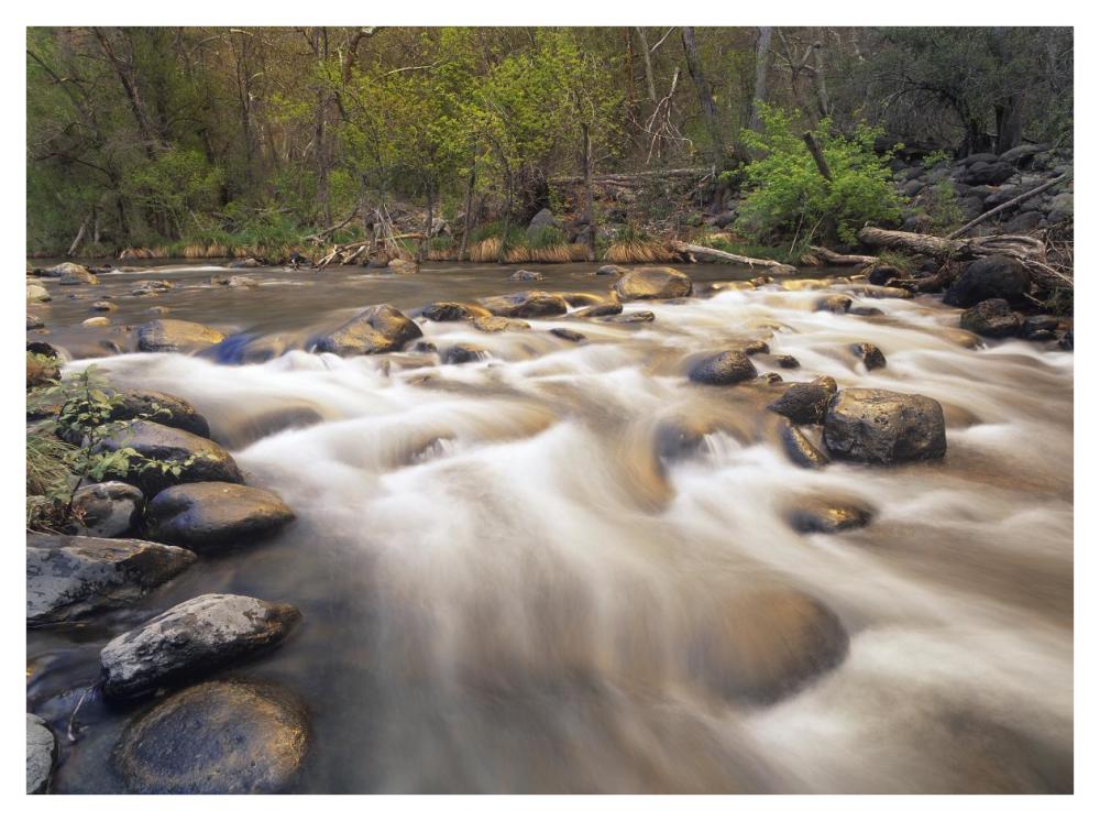 Oak Creek At Grasshopper Point, Sedona, Arizona-Paper Art-42X32