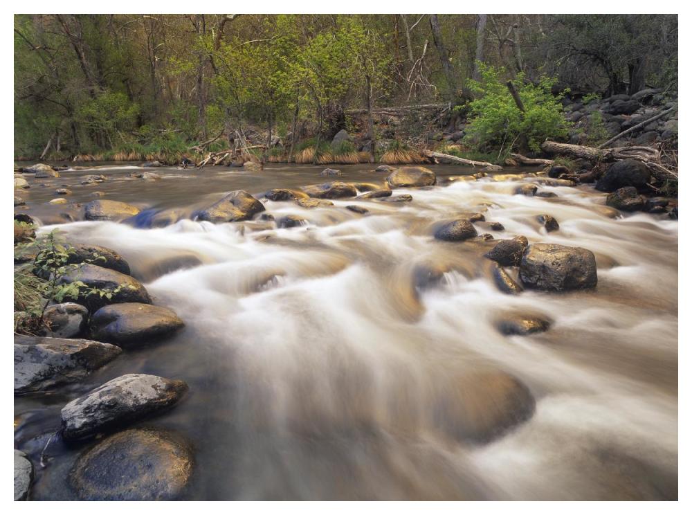 Oak Creek At Grasshopper Point, Sedona, Arizona-Paper Art-50X38
