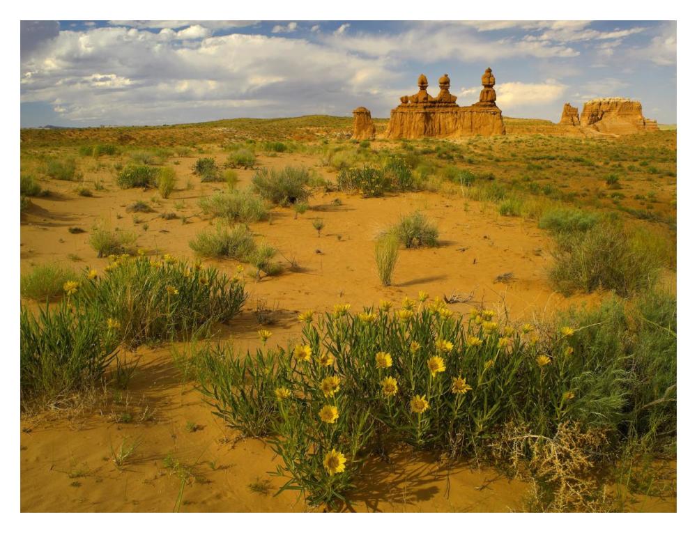 The Three Judges, Goblin Valley State Park, Utah-Paper Art-18X14