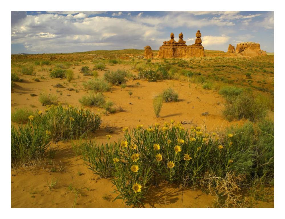 The Three Judges, Goblin Valley State Park, Utah-Paper Art-26X20