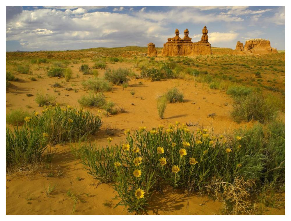 The Three Judges, Goblin Valley State Park, Utah-Paper Art-50X38