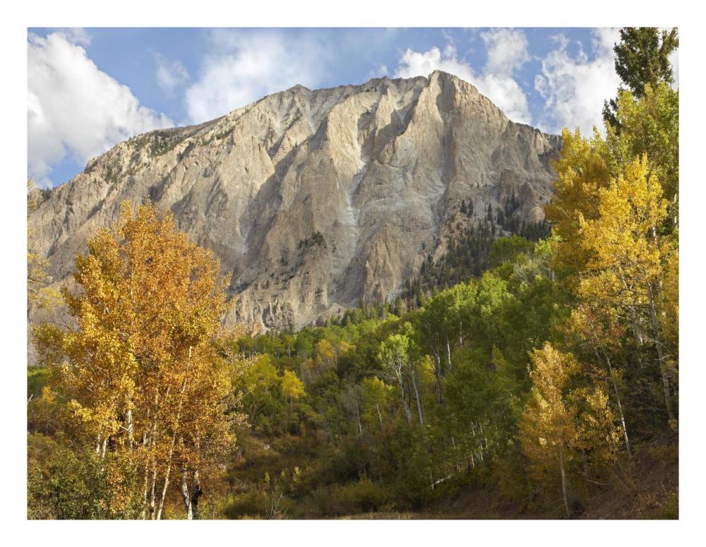 Marcellina Mountain Near Crested Butte, Colorado-Paper Art-26X20