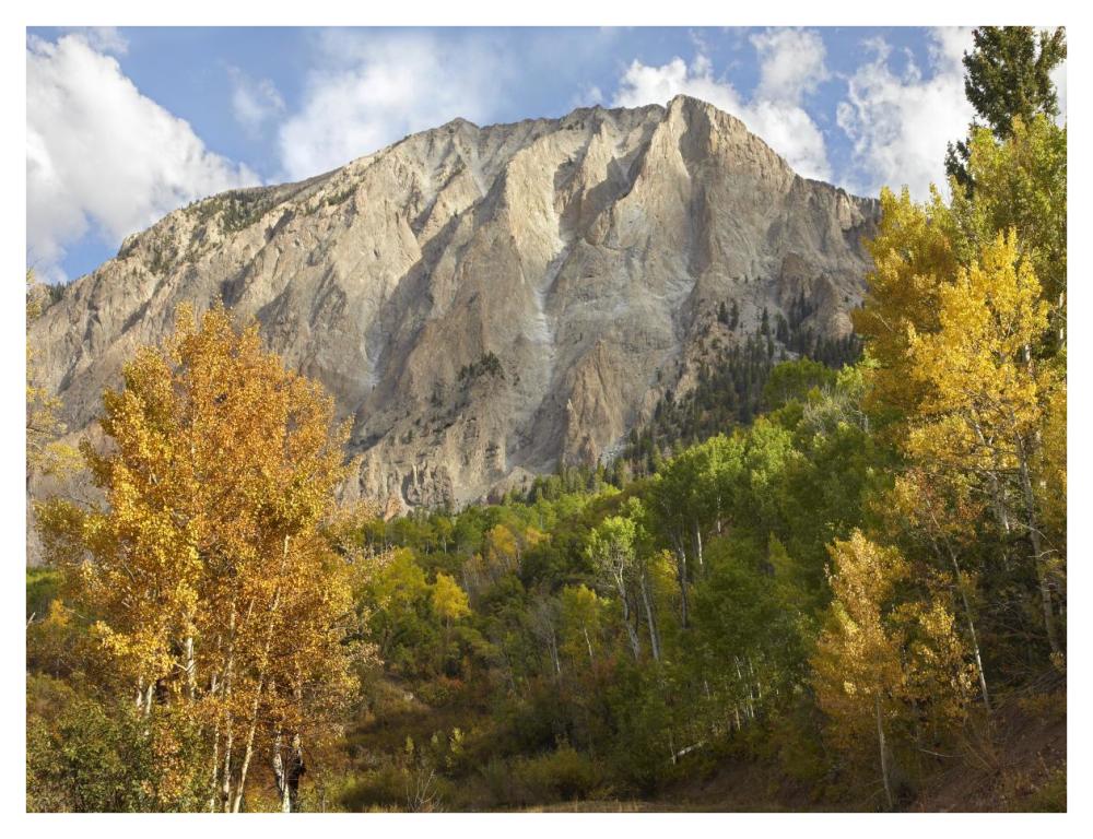 Marcellina Mountain Near Crested Butte, Colorado-Paper Art-42X32