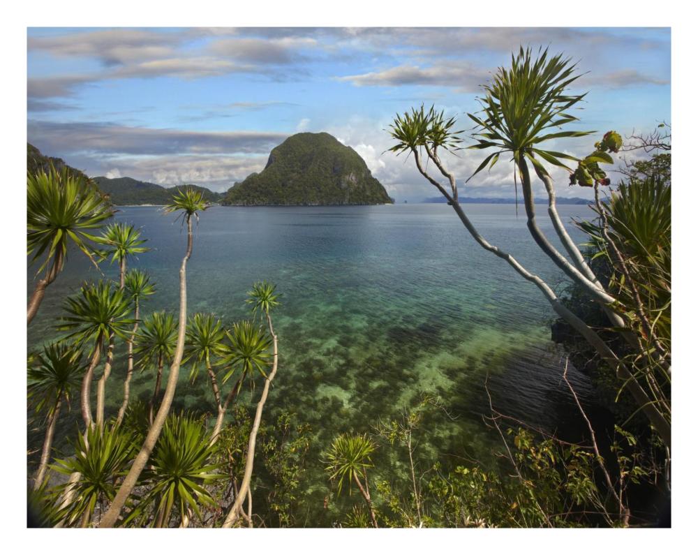 Cadlao Island Near El Nido, Palawan, Philippines-Paper Art-26X20