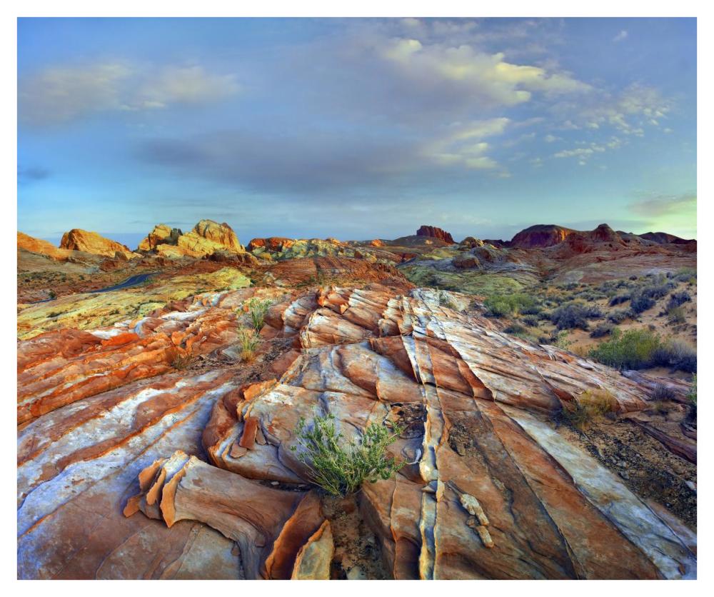 Rainbow Vista, Valley Of Fire State Park, Nevada-Paper Art-42X35.2