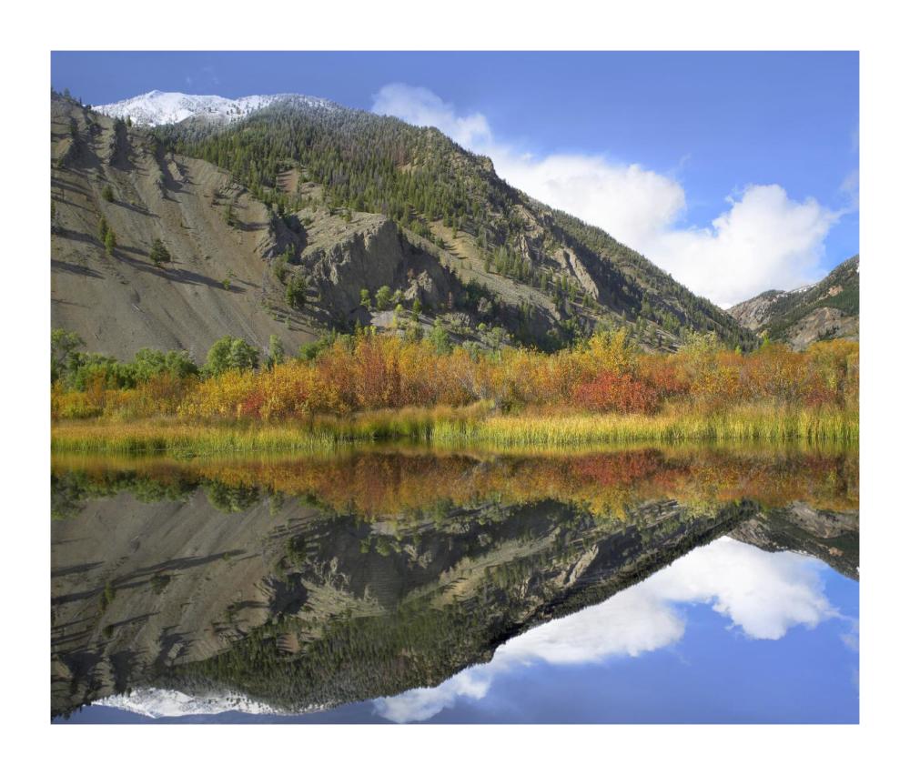 Boulder Mountains Reflected In Beaver Pond, Idaho-Paper Art-18X15.28