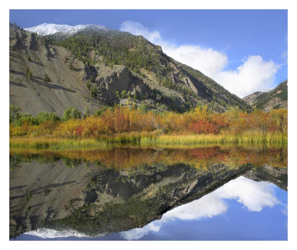 Boulder Mountains Reflected In Beaver Pond, Idaho-Paper Art-32X26.9