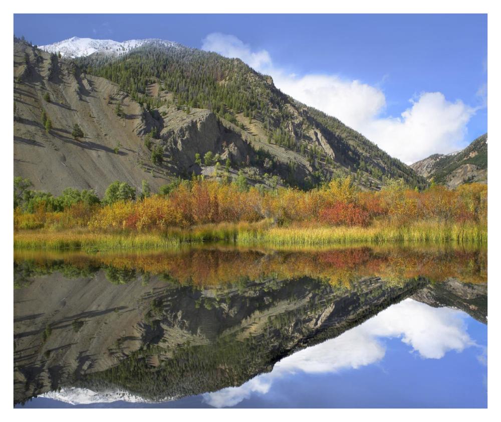 Boulder Mountains Reflected In Beaver Pond, Idaho-Paper Art-38X31.88