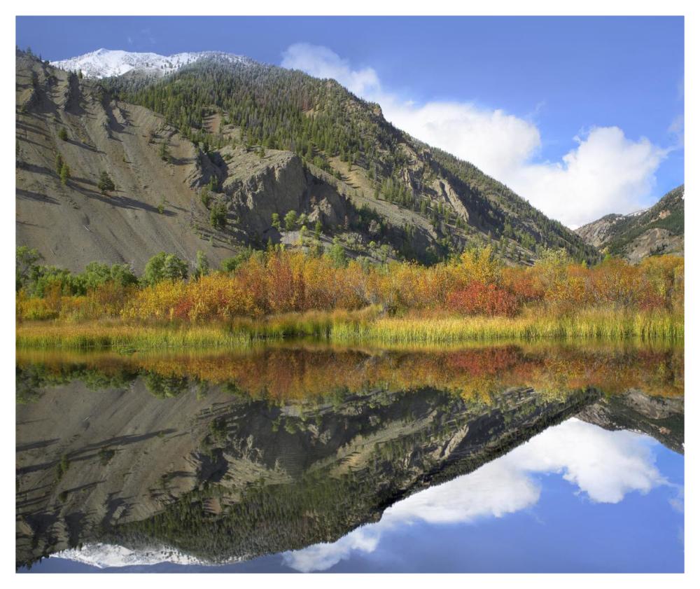 Boulder Mountains Reflected In Beaver Pond, Idaho-Paper Art-46X38.52