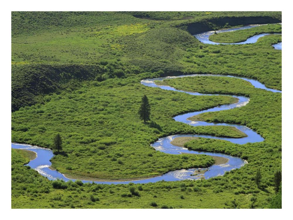 East River Meandering Near Crested Butte, Colorado-Paper Art-26X20