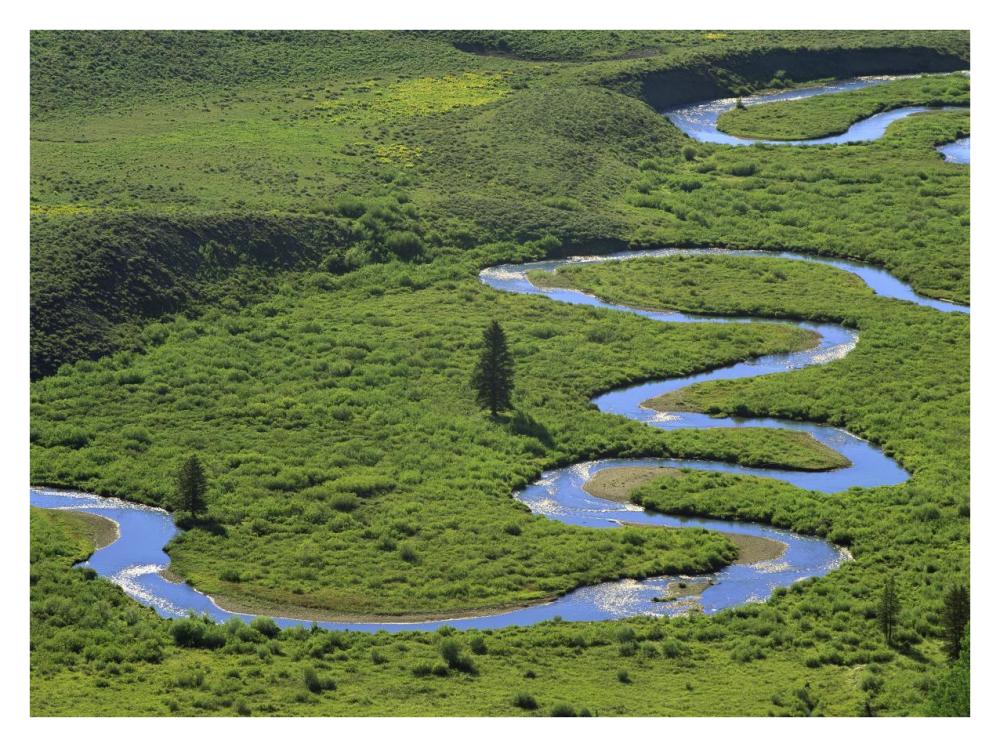 East River Meandering Near Crested Butte, Colorado-Paper Art-34X26