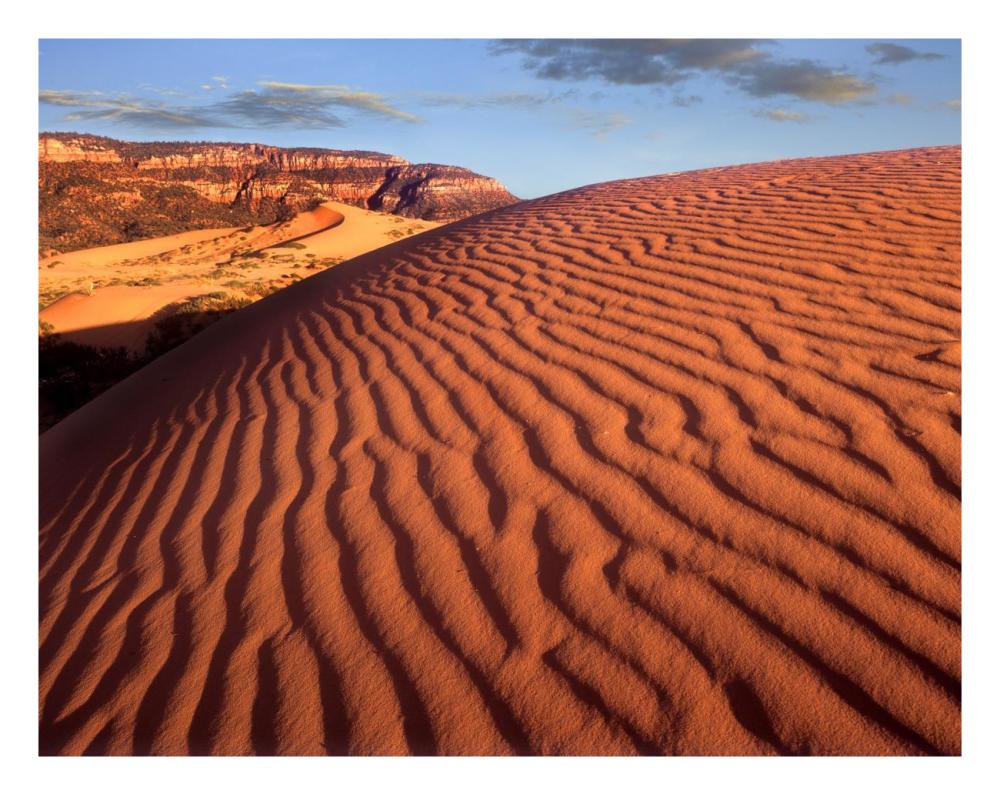 Sand Dunes, Coral Pink Sand Dunes State Park, Utah-Paper Art-26X20