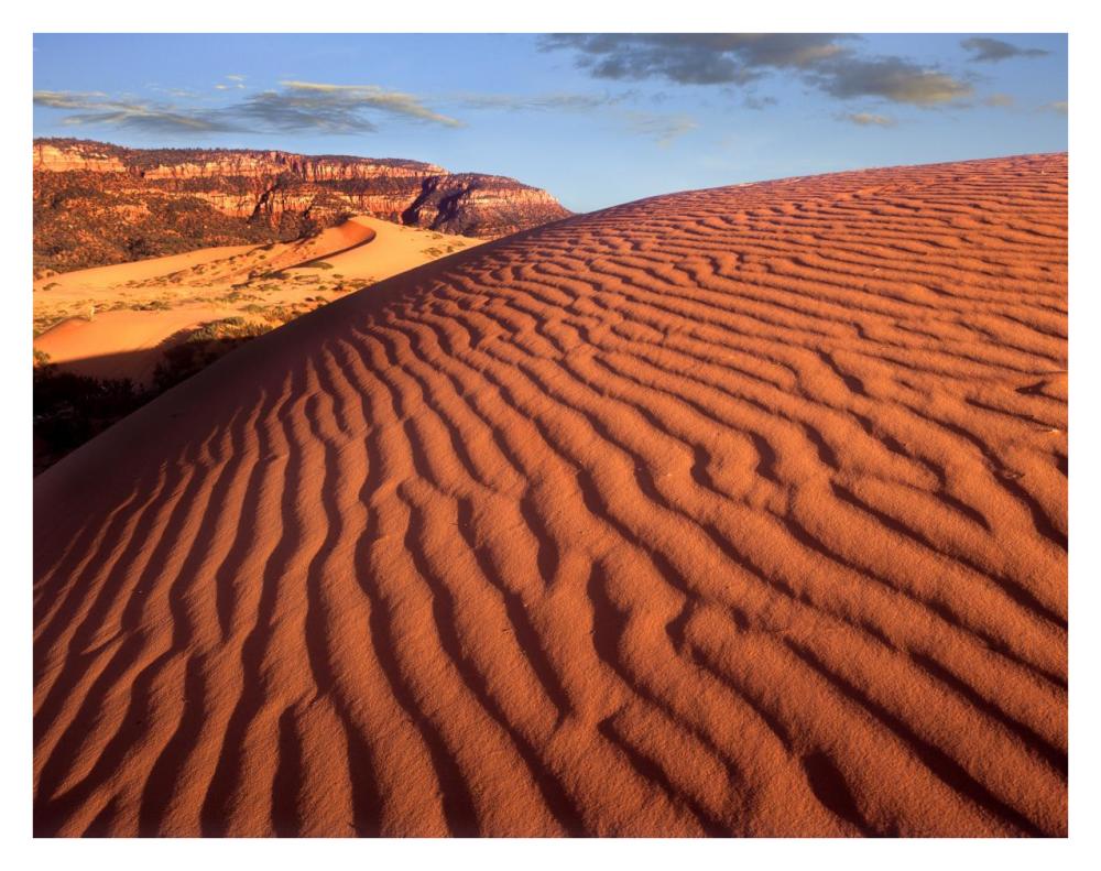 Sand Dunes, Coral Pink Sand Dunes State Park, Utah-Paper Art-34X26