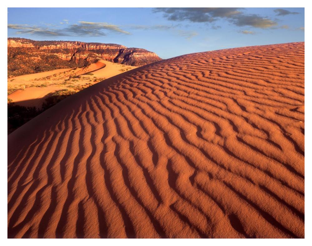 Sand Dunes, Coral Pink Sand Dunes State Park, Utah-Paper Art-42X32