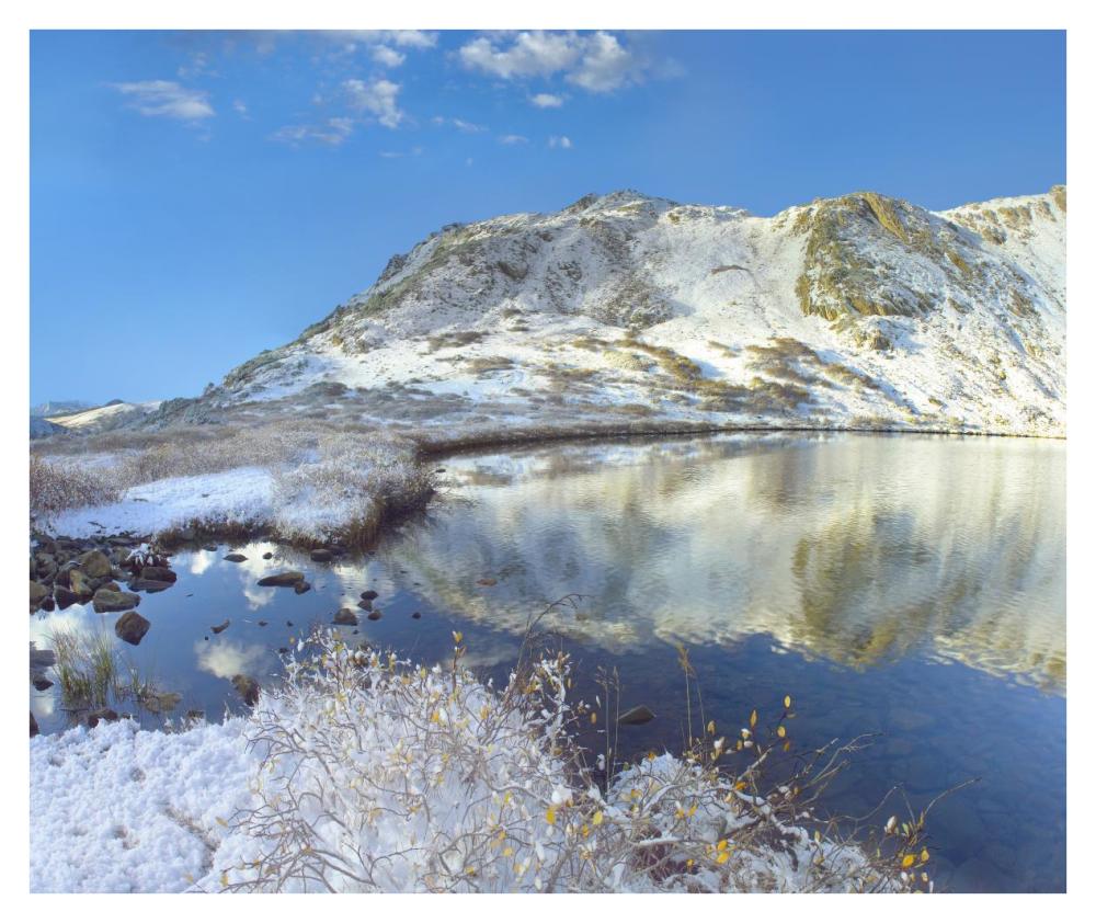 Pond And Geissler Mountain, Linkins Lake, Colorado-Paper Art-38X31.88