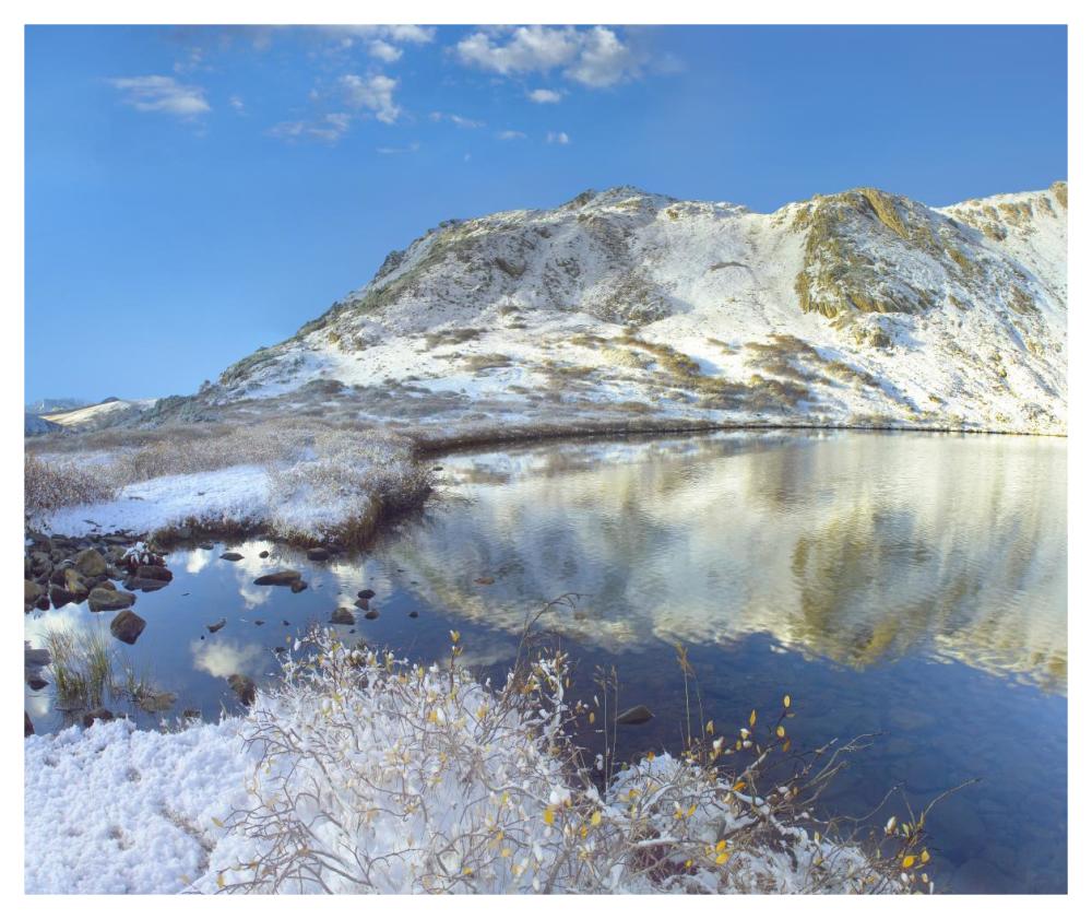 Pond And Geissler Mountain, Linkins Lake, Colorado-Paper Art-46X38.52