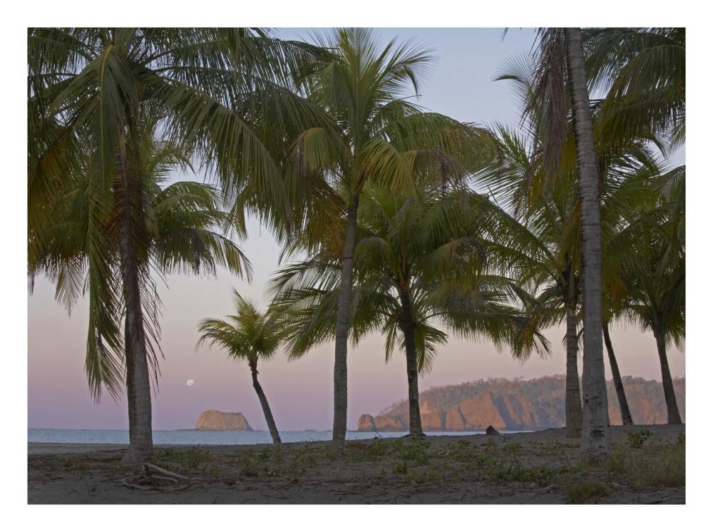 Moon Setting, Playa Carillo, Guanacaste, Costa Rica-Paper Art-26X20