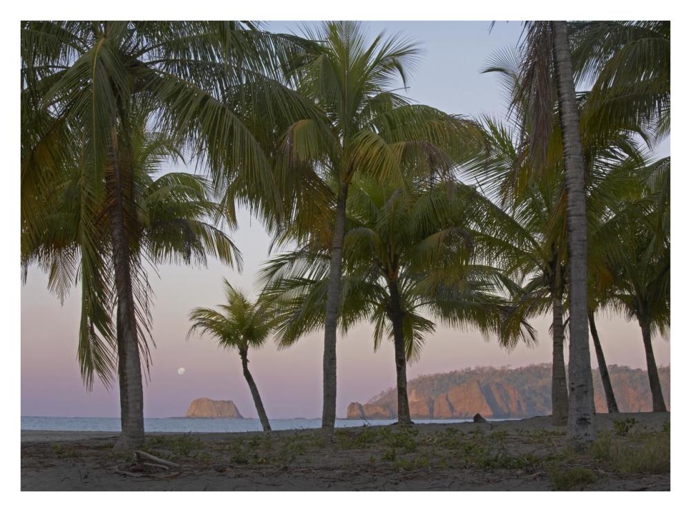 Moon Setting, Playa Carillo, Guanacaste, Costa Rica-Paper Art-34X26
