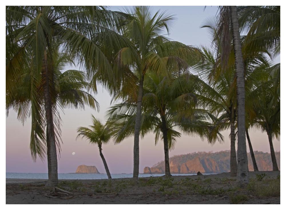 Moon Setting, Playa Carillo, Guanacaste, Costa Rica-Paper Art-50X38