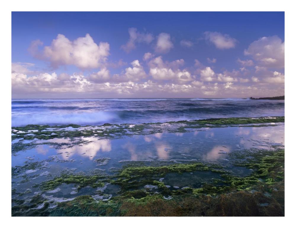 Tidepools And Waves At Ho'Okipa Beach, Maui, Hawaii-Paper Art-26X20