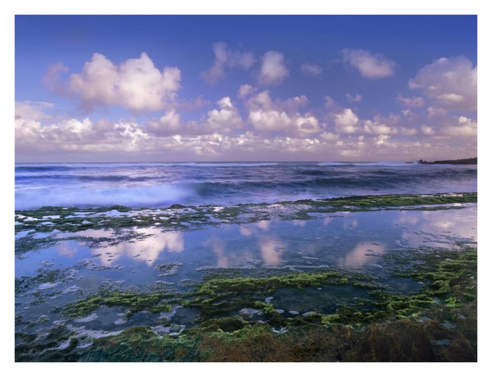 Tidepools And Waves At Ho'Okipa Beach, Maui, Hawaii-Paper Art-34X26