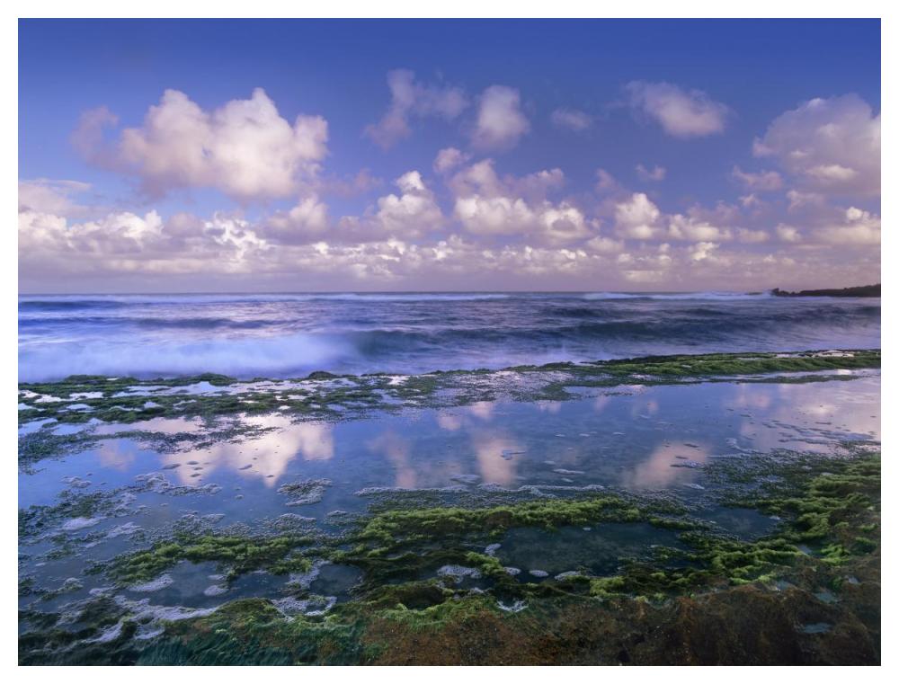 Tidepools And Waves At Ho'Okipa Beach, Maui, Hawaii-Paper Art-50X38