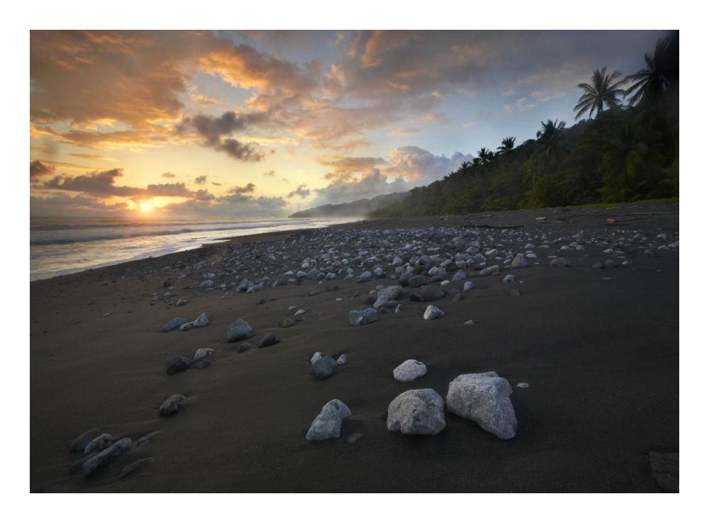 Rocks On Beach, Corcovado National Park, Costa Rica-Paper Art-24X17.62