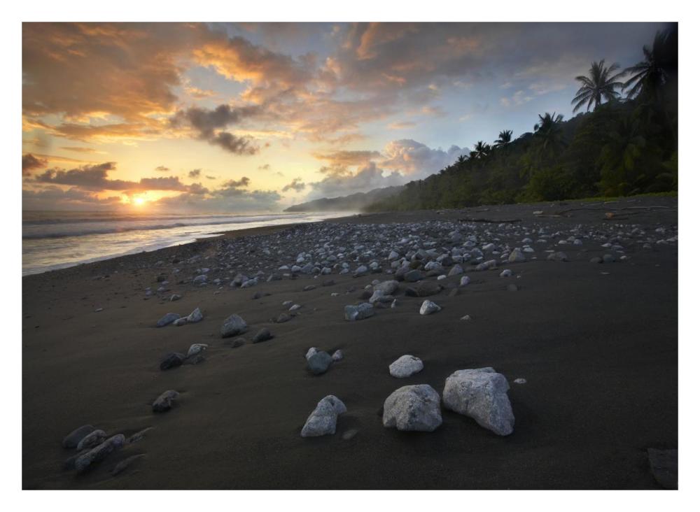 Rocks On Beach, Corcovado National Park, Costa Rica-Paper Art-32X23.3
