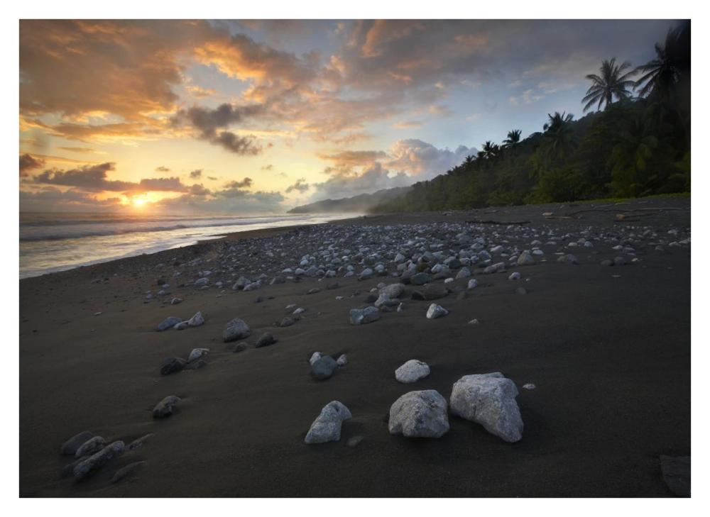 Rocks On Beach, Corcovado National Park, Costa Rica-Paper Art-38X27.56