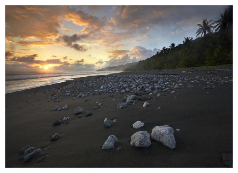 Rocks On Beach, Corcovado National Park, Costa Rica-Paper Art-46X33.24