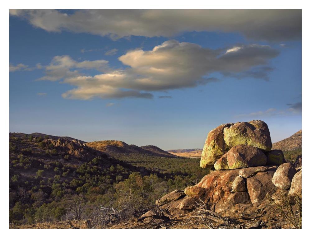Rockpile, Davis Mountains, Chihuahuan Desert, Texas-Paper Art-34X26