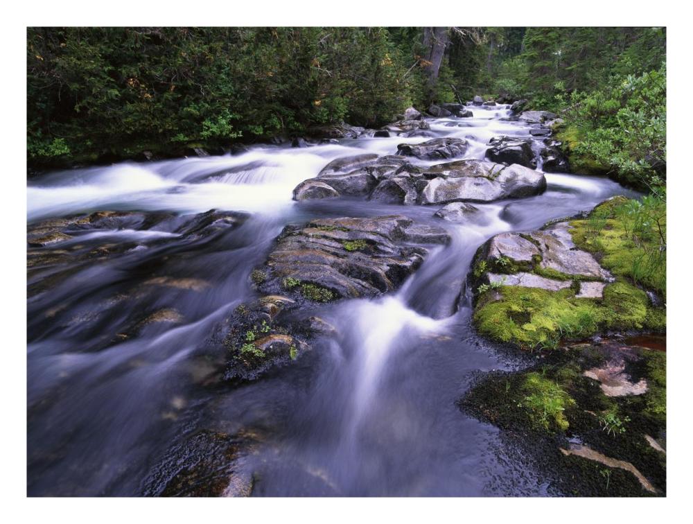 Paradise River, Mt Rainier National Park, Washington-Paper Art-26X20