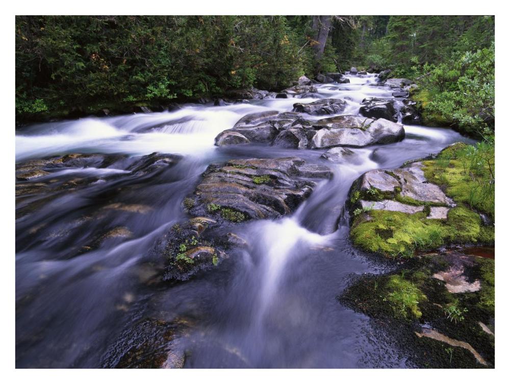 Paradise River, Mt Rainier National Park, Washington-Paper Art-34X26
