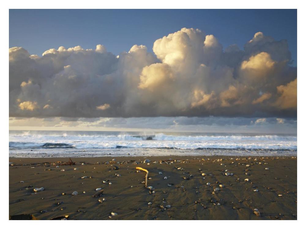 Beach And Waves, Corcovado National Park, Costa Rica-Paper Art-18X14