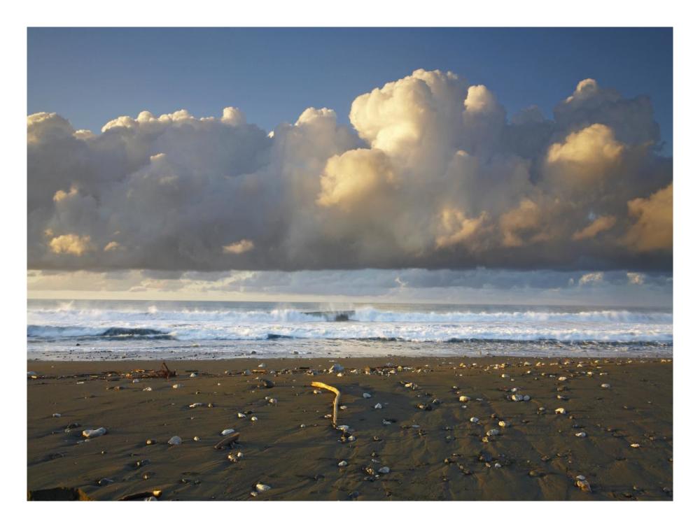 Beach And Waves, Corcovado National Park, Costa Rica-Paper Art-26X20