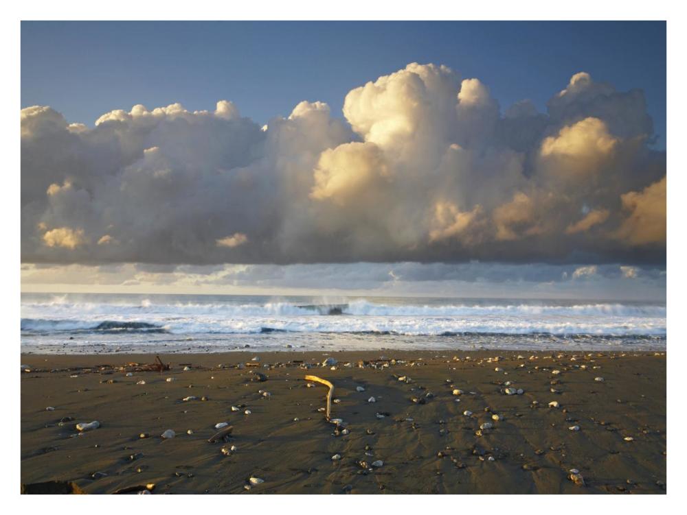 Beach And Waves, Corcovado National Park, Costa Rica-Paper Art-34X26