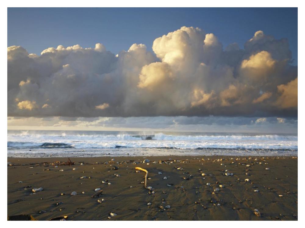 Beach And Waves, Corcovado National Park, Costa Rica-Paper Art-42X32