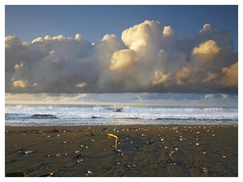 Beach And Waves, Corcovado National Park, Costa Rica-Paper Art-50X38
