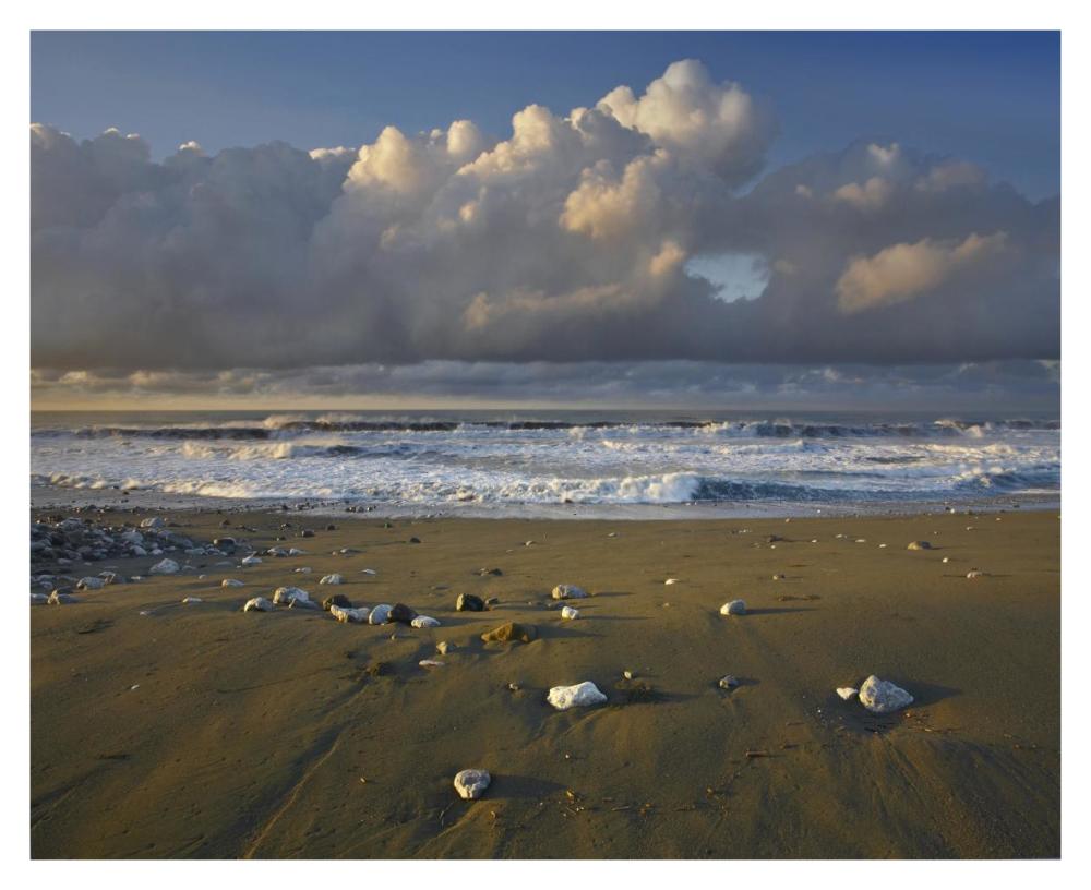 Beach And Waves, Corcovado National Park, Costa Rica-Paper Art-37X30