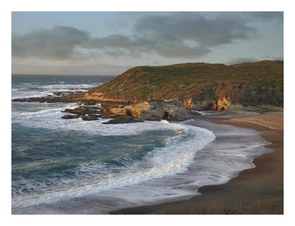 Spooners Cove, Montano De Oro State Park, California-Paper Art-26X20