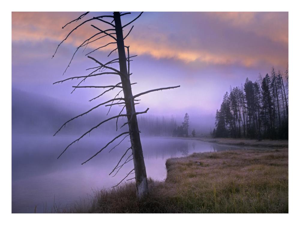 Yellowstone Lake, Yellowstone National Park, Wyoming-Paper Art-26X20