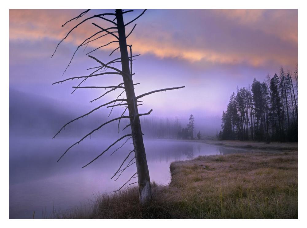 Yellowstone Lake, Yellowstone National Park, Wyoming-Paper Art-34X26