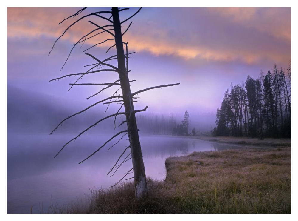 Yellowstone Lake, Yellowstone National Park, Wyoming-Paper Art-42X32