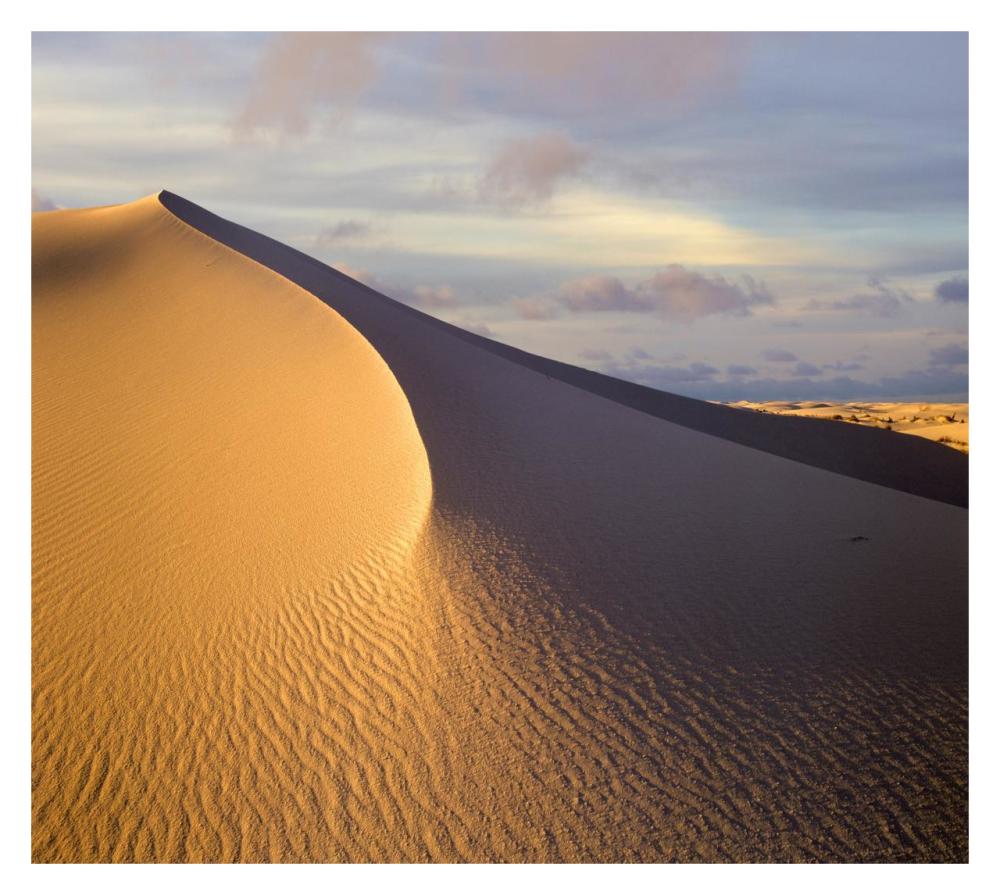 Sand Dune, White Sands National Monument, New Mexico-Paper Art-32X28.7
