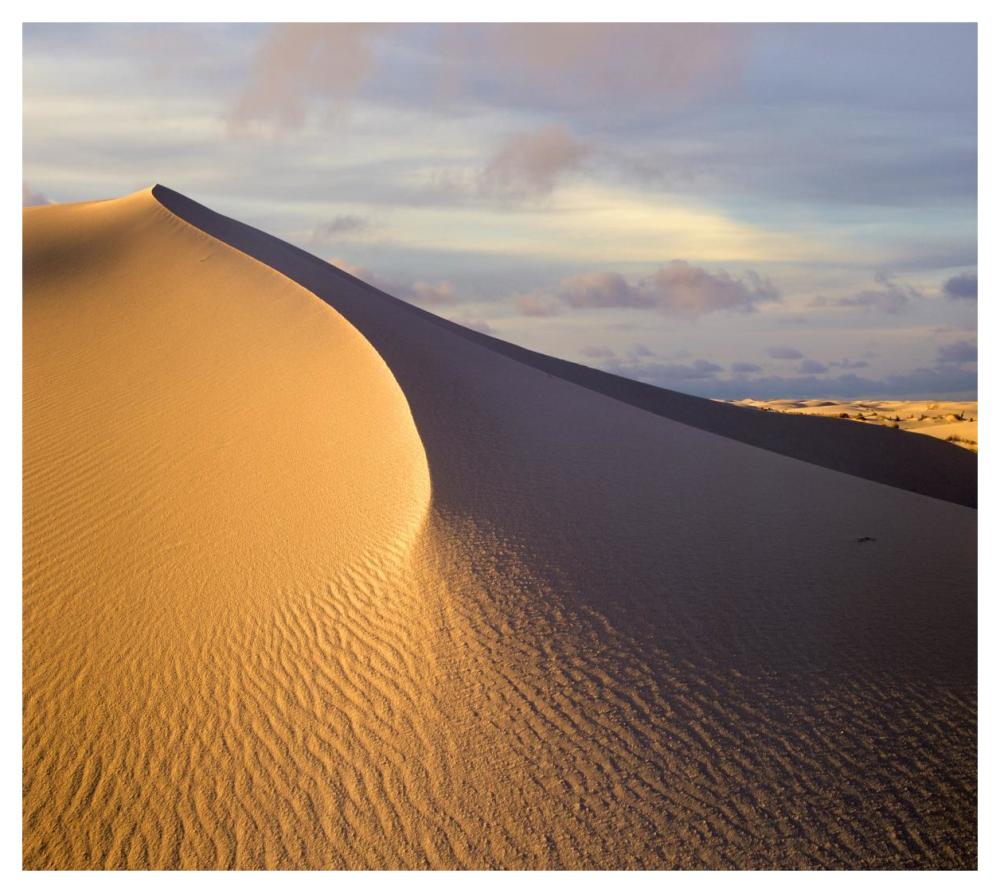 Sand Dune, White Sands National Monument, New Mexico-Paper Art-46X41.16
