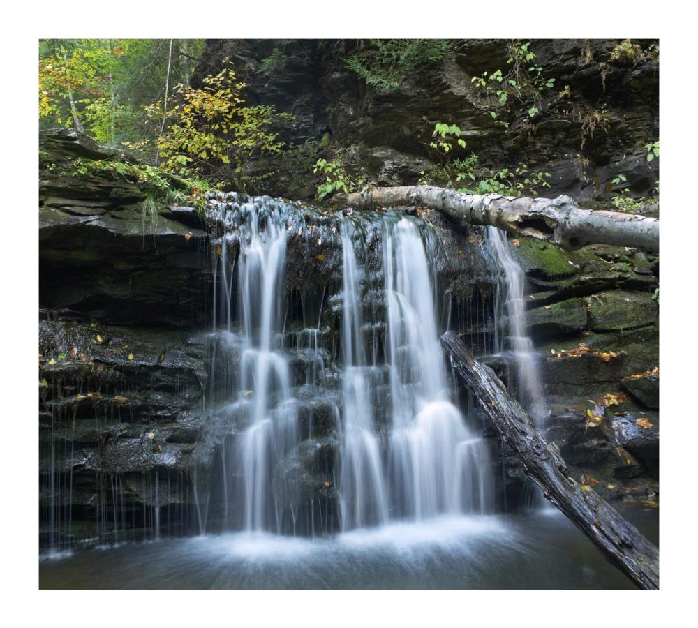 Seneca Falls, Ricketts Glen State Park, Pennsylvania-Paper Art-18X16.24